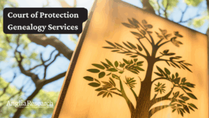 Court of Protection services